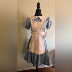 Vintage Alice in Wonderland Dress